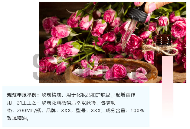 ���͵Ĺ淶